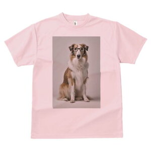 R[ TVc  j[NfUCY LbY t@  t vg JWA 킢 lԗp Mtg I Kl R[