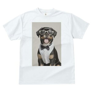 yLj[Y TVc  j[NfUCfB[X t@  t vg JWA 킢 lԗp Mtg I lN^C yLj[Y ዾ Vc