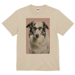 {[_[R[ TVc  j[NfUCY LbY t@  t vg JWA 킢 lԗp Mtg I Kl {[_[R[