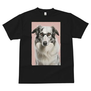 {[_[R[ TVc  j[NfUCfB[X t@  t vg JWA 킢 lԗp Mtg I Kl {[_[R[