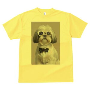 V[Y[ TVc  j[NfUCY LbY t@  t vg JWA 킢 lԗp Mtg I Kl V[Y[ lN^C Vc