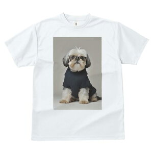 V[Y[ TVc  j[NfUCY LbY t@  t vg JWA 킢 lԗp Mtg I Kl V[Y[ Z[^[