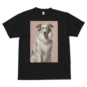 R[ TVc  j[NfUCfB[X t@  t vg JWA 킢 lԗp Mtg I Kl R[