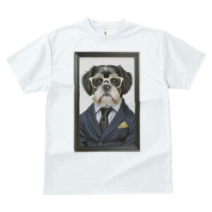 V[Y[ TVc  j[NfUCfB[X t@  t vg JWA 킢 lԗp Mtg I X[c V[Y[ lN^C |Pbg`[t Kl