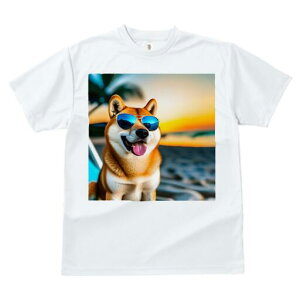 Č TVc  j[NfUCfB[X t@  t vg JWA 킢 lԗp Mtg I TOX Č r[` C [Ă