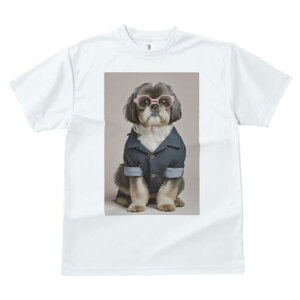 V[Y[ TVc  j[NfUCfB[X t@  t vg JWA 킢 lԗp Mtg I Kl V[Y[ Vc