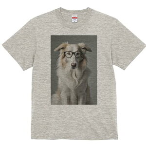 {[_[R[ TVc  j[NfUCY LbY t@  t vg JWA 킢 lԗp Mtg I Kl {[_[R[