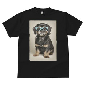 yLj[Y TVc  j[NfUCfB[X t@  t vg JWA 킢 lԗp Mtg I Kl yLj[Y