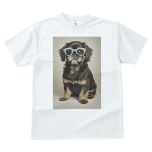 yLj[Y TVc  j[NfUCfB[X t@  t vg JWA 킢 lԗp Mtg I Kl yLj[Y