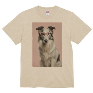 {[_[R[ TVc  j[NfUCY LbY t@  t vg JWA 킢 lԗp Mtg I Kl {[_[R[