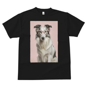 {[_[R[ TVc  j[NfUCY LbY t@  t vg JWA 킢 lԗp Mtg I Kl {[_[R[