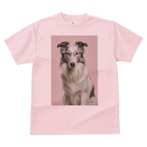 {[_[R[ TVc  j[NfUCY LbY t@  t vg JWA 킢 lԗp Mtg I Kl {[_[R[