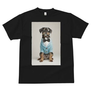 ~bNX TVc  j[NfUCfB[X t@  t vg JWA 킢 lԗp Mtg I lN^C ~bNX WPbg ዾ