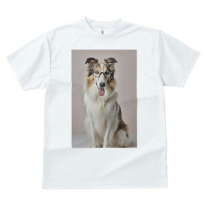 R[ TVc  j[NfUCfB[X t@  t vg JWA 킢 lԗp Mtg I Kl R[