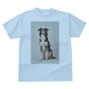 {[_[R[ TVc  j[NfUCY LbY t@  t vg JWA 킢 lԗp Mtg I Kl {[_[R[