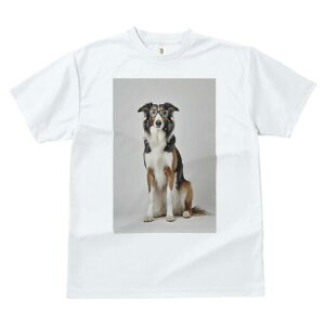 {[_[R[ TVc  j[NfUCfB[X t@  t vg JWA 킢 lԗp Mtg I Kl {[_[R[