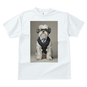 V[Y[ TVc  j[NfUCfB[X t@  t vg JWA 킢 lԗp Mtg I X[c V[Y[ lN^C ዾ