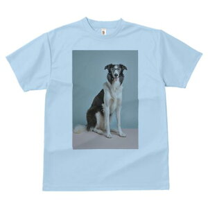 {[_[R[ TVc  j[NfUCY LbY t@  t vg JWA 킢 lԗp Mtg I Kl {[_[R[