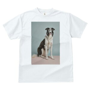 {[_[R[ TVc  j[NfUCY LbY t@  t vg JWA 킢 lԗp Mtg I Kl {[_[R[