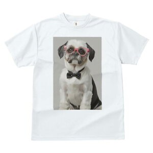 V[Y[ TVc  j[NfUCfB[X t@  t vg JWA 킢 lԗp Mtg I Kl V[Y[ lN^C