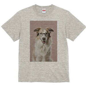 {[_[R[ TVc  j[NfUCY LbY t@  t vg JWA 킢 lԗp Mtg I Kl {[_[R[