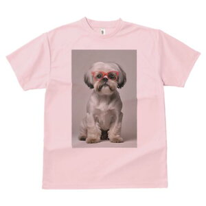 V[Y[ TVc  j[NfUCY LbY t@  t vg JWA 킢 lԗp Mtg I Kl V[Y[