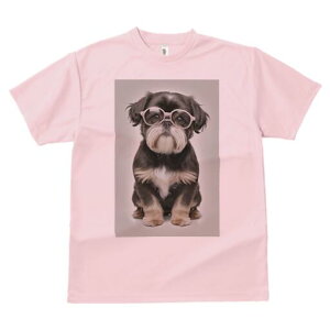 V[Y[ TVc  j[NfUCY LbY t@  t vg JWA 킢 lԗp Mtg I Kl V[Y[