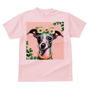 C^AO[nEh TVc  j[NfUCY LbY t@  t vg JWA 킢 lԗp Mtg I  C^AO[nEh lbNX