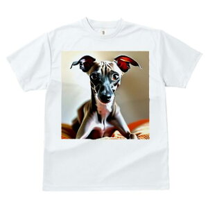 C^AO[nEh TVc  j[NfUCfB[X t@  t vg JWA 킢 lԗp Mtg I C^AO[nEh