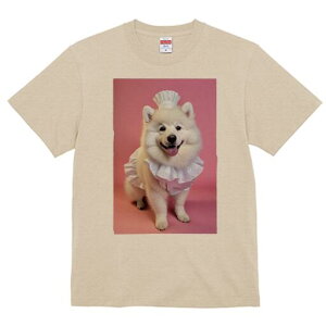 TGh TVc  j[NfUCY LbY t@  t vg JWA 킢 lԗp Mtg I RbNX TGh Gv