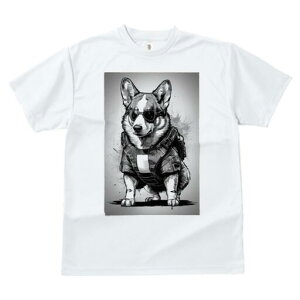 R[M[ TVc  j[NfUCfB[X t@  t vg JWA 킢 lԗp Mtg I TOX R[M[ xXg