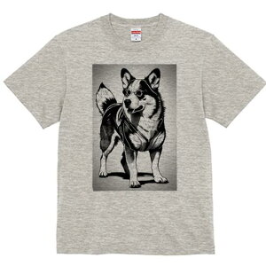 R[M[ TVc  j[NfUCY LbY t@  t vg JWA 킢 lԗp Mtg I Kl R[M[