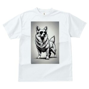 R[M[ TVc  j[NfUCfB[X t@  t vg JWA 킢 lԗp Mtg I TOX R[M[