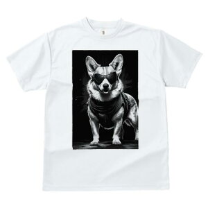 R[M[ TVc  j[NfUCfB[X t@  t vg JWA 킢 lԗp Mtg I TOX R[M[ xXg