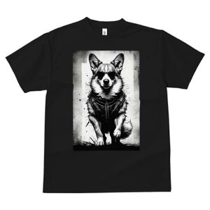 R[M[ TVc  j[NfUCfB[X t@  t vg JWA 킢 lԗp Mtg I TOX R[M[ WPbg