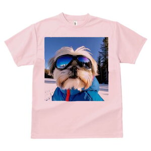 V[Y[ TVc  j[NfUCY LbY t@  t vg JWA 킢 lԗp Mtg I XL[ V[Y[ ~  XL[EFA