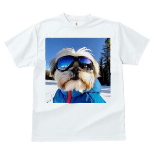 V[Y[ TVc  j[NfUCY LbY t@  t vg JWA 킢 lԗp Mtg I XL[ V[Y[ ~  XL[EFA