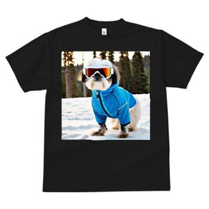 V[Y[ TVc  j[NfUCfB[X t@  t vg JWA 킢 lԗp Mtg I XL[EFA V[Y[  XL[S[O