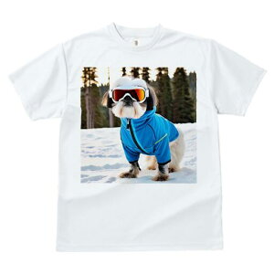 V[Y[ TVc  j[NfUCfB[X t@  t vg JWA 킢 lԗp Mtg I XL[EFA V[Y[  XL[S[O