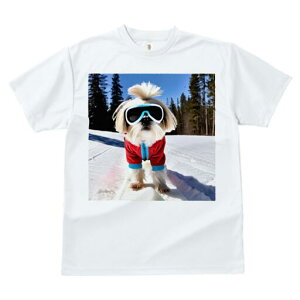 V[Y[ TVc  j[NfUCfB[X t@  t vg JWA 킢 lԗp Mtg I XL[ V[Y[  ~ XL[EFA