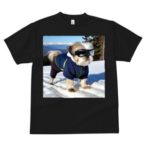 V[Y[ TVc  j[NfUCfB[X t@  t vg JWA 킢 lԗp Mtg I R V[Y[ XL[EFA XL[S[O