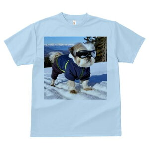 V[Y[ TVc  j[NfUCY LbY t@  t vg JWA 킢 lԗp Mtg I R V[Y[ XL[EFA XL[S[O