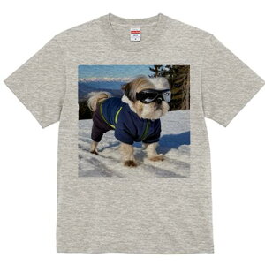 V[Y[ TVc  j[NfUCY LbY t@  t vg JWA 킢 lԗp Mtg I R V[Y[ XL[EFA XL[S[O