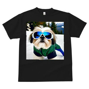 V[Y[ TVc  j[NfUCfB[X t@  t vg JWA 킢 lԗp Mtg I XL[EFA V[Y[ XL[S[O R