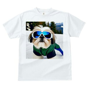 V[Y[ TVc  j[NfUCfB[X t@  t vg JWA 킢 lԗp Mtg I XL[EFA V[Y[ XL[S[O R