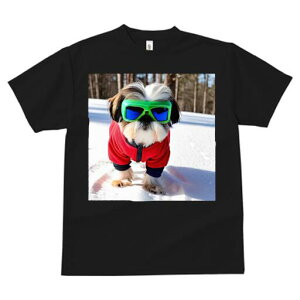 V[Y[ TVc  j[NfUCfB[X t@  t vg JWA 킢 lԗp Mtg I  V[Y[ ~ XL[EFA XL[S[O