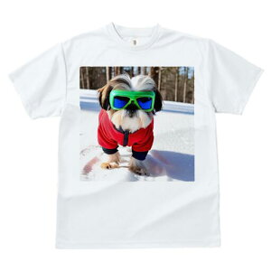 V[Y[ TVc  j[NfUCfB[X t@  t vg JWA 킢 lԗp Mtg I  V[Y[ ~ XL[EFA XL[S[O