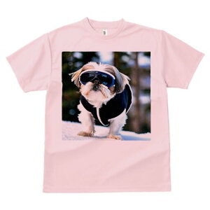 V[Y[ TVc  j[NfUCY LbY t@  t vg JWA 킢 lԗp Mtg I XL[EFA V[Y[ XL[S[O