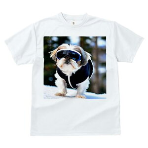 V[Y[ TVc  j[NfUCfB[X t@  t vg JWA 킢 lԗp Mtg I XL[EFA V[Y[ XL[S[O