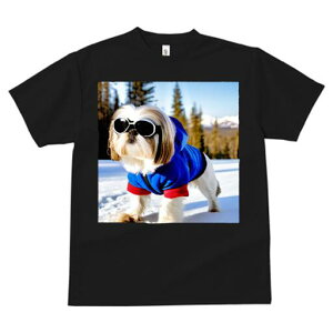 V[Y[ TVc  j[NfUCfB[X t@  t vg JWA 킢 lԗp Mtg I  V[Y[ ~ TOX XL[EFA